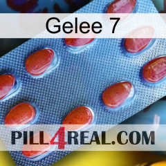 Jelly 7 06